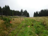  Blick auf die Wanderstrecke 