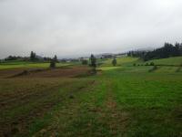 Blick auf die Wanderstrecke in der Ferne Gropertenschlag