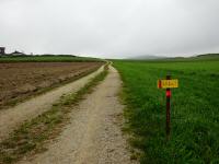  Blick auf die Wanderstrecke 