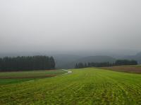  der eingetrbte Fernblick Richtung Westen 