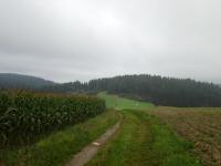  Blick auf die Wanderstrecke 