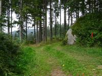  Blick auf die Wanderstrecke am Moderberg 