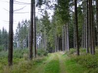  Blick auf die Wanderstrecke am Moderberg 