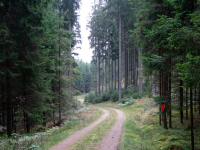  Blick auf die Wanderstrecke 