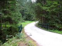  Blick auf die Wanderstrecke beim "Kleinen Kamp" 