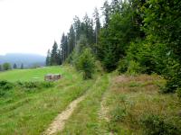  Blick auf die Wanderstrecke 