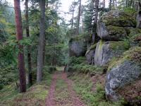  Blick auf die Wanderstrecke 