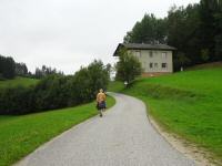 Blick auf die Wanderstrecke auf dem Gterweg Gurrmhle 