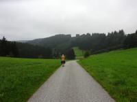 Blick auf die Wanderstrecke auf dem Gterweg Gurrmhle 