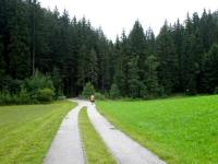 Blick auf die Wanderstrecke auf dem Gterweg Gurrmhle beim "Kleinen Kamp" 