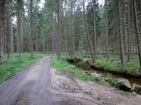 Blick auf die Wanderstrecke entlang des "Kleinen Kamp" 