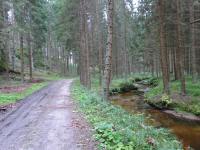 Blick auf die Wanderstrecke entlang des "Kleinen Kamp" 