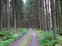  Blick auf die Wanderstrecke 