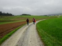 Blick auf die Wanderstrecke wieder nach Gropertenschlag