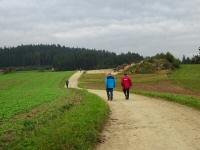  Blick auf die Wanderstrecke 