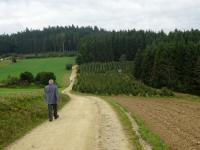  Blick auf die Wanderstrecke 