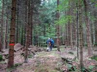  Blick auf die Wanderstrecke 