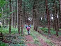  Blick auf die Wanderstrecke 