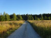  Blick auf die Wanderstrecke 