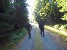  Blick auf die Wanderstrecke durch den Metzengrund 