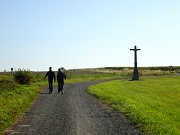  Blick auf die Wanderstrecke beim Bhm-Steinkreuz 