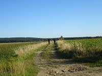 Blick auf die Wanderstrecke durch die Riede Bergfeld 