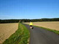 Blick auf die Wanderstrecke durch die Riede Bergfeld 