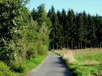  Blick auf die Wanderstrecke 