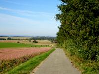  Blick auf die Wanderstrecke 