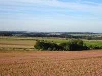  schner Fernblick 