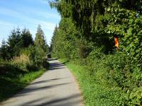  Blick auf die Wanderstrecke bei Waldberg 