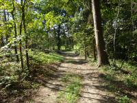  Blick auf die Wanderstrecke 