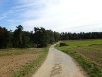  Blick auf die Wanderstrecke 