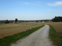 Blick auf die Wanderstrecke durch die Riede Steinberg 