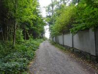  Blick auf die Wanderstrecke zur Spitalstrae - Ziel 