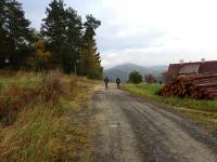  Blick auf die Wanderstrecke in Rappottenstein 