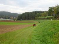  Blick auf die Wanderstrecke nach Ritterkamp 