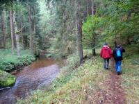  Blick auf die Wanderstrecke entlang des "Kleinen Kamp" 