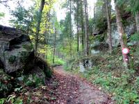  Blick auf die Wanderstrecke zur Burg Rappottenstein 