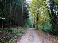  Blick auf die Wanderstrecke 