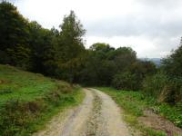  Blick auf die Wanderstrecke bei Ebend 