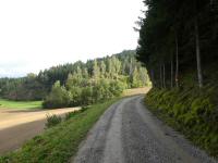 Blick auf die Wanderstrecke wieder zurck zur Streckenteilung