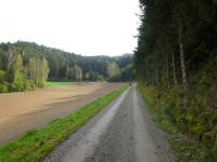 Blick auf die Wanderstrecke wieder zurck zur Streckenteilung