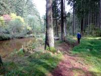 Blick auf die Wanderstrecke entlang des "Kleinen Kamp" in der Schtt