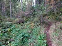 Blick auf die Wanderstrecke entlang des "Kleinen Kamp" in der Schtt