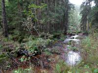  Blick zum Kleinen Kamp 