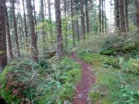 Blick auf die Wanderstrecke entlang des "Kleinen Kamp" in der Schtt