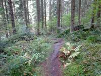 Blick auf die Wanderstrecke entlang des "Kleinen Kamp" in der Schtt