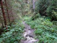 Blick auf die Wanderstrecke entlang des "Kleinen Kamp" in der Schtt