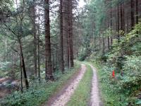 Blick auf die Wanderstrecke entlang des "Kleinen Kamp" in der Schtt